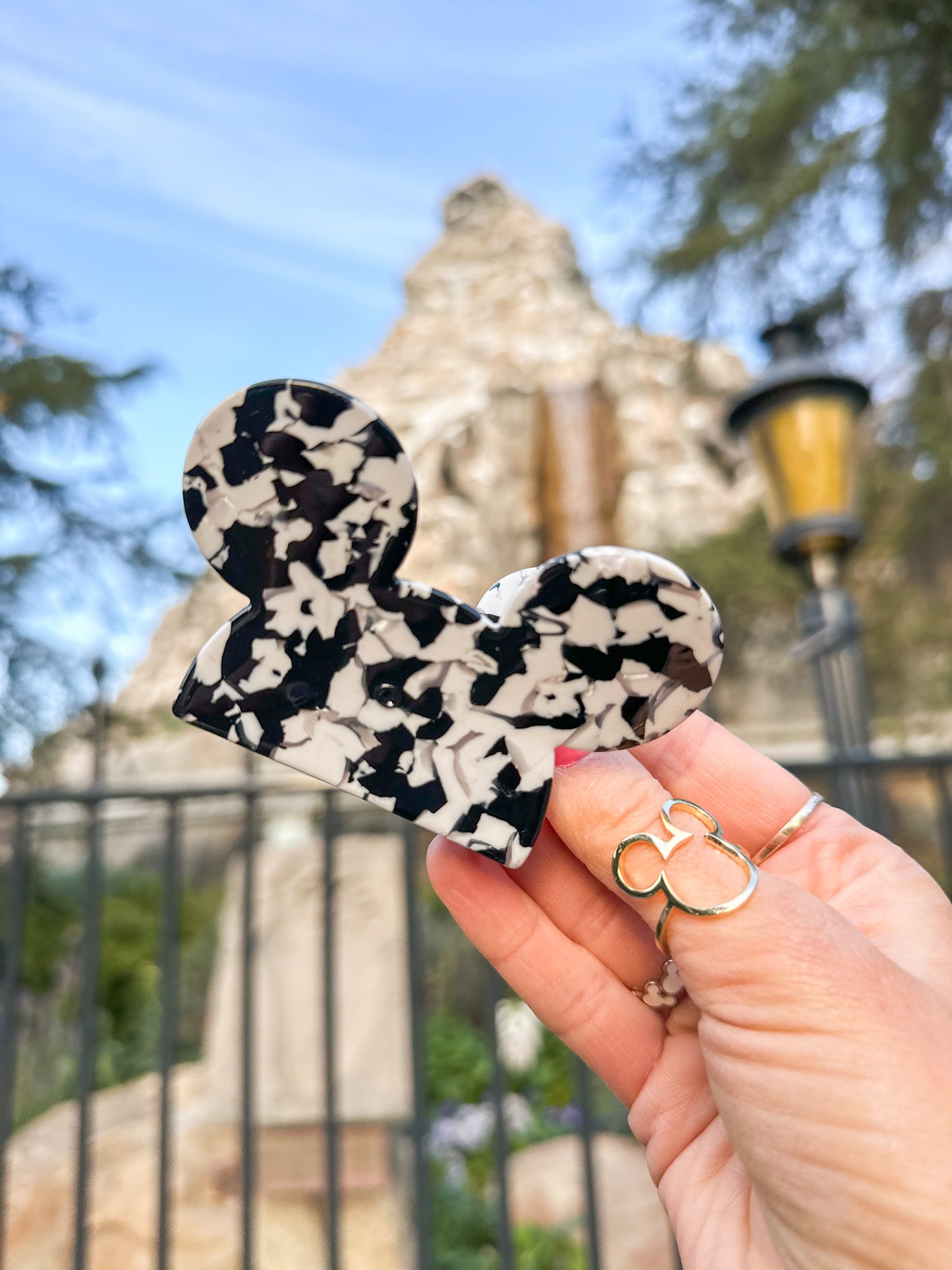 Mouse Clips