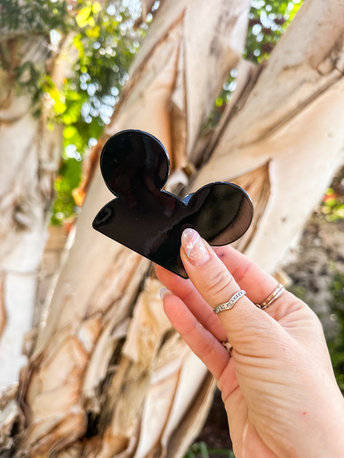 Mouse Clips
