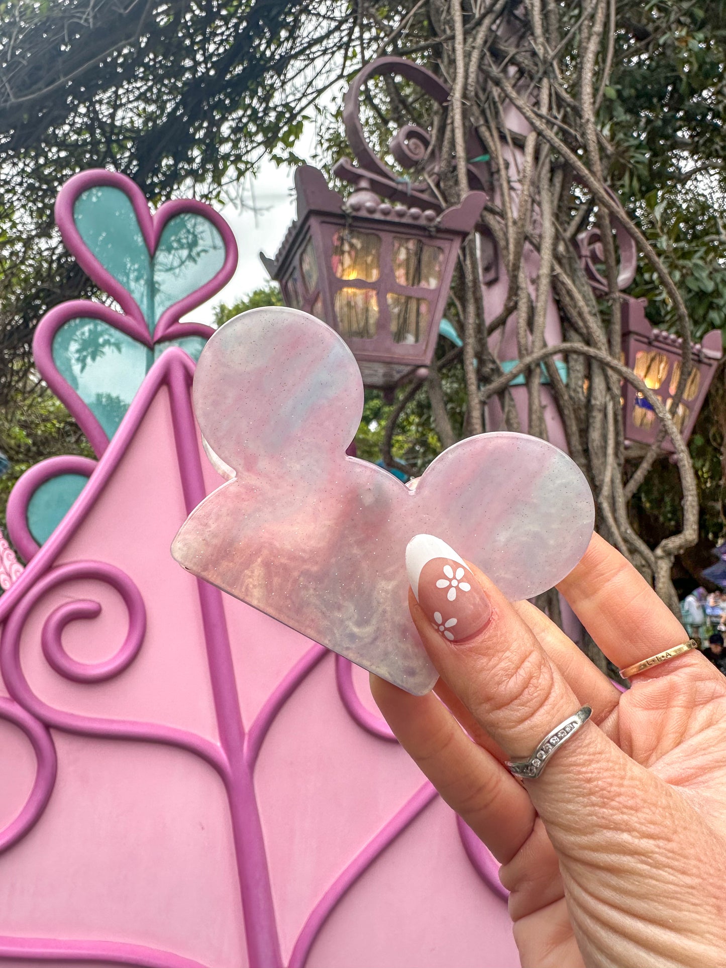 Mouse Clips
