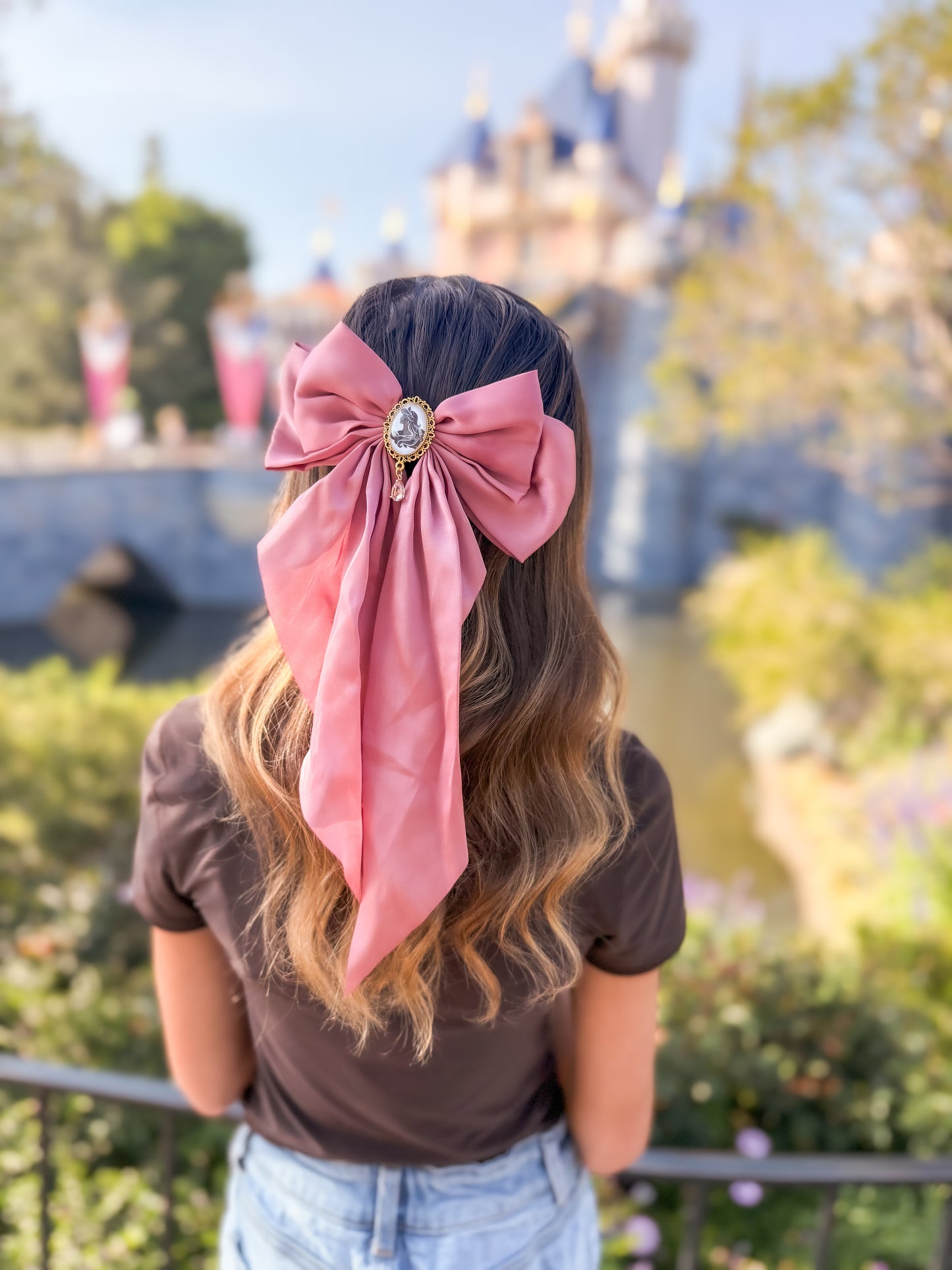 Princess Silhouette Aurora